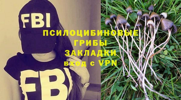 амф Рославль